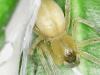 267994 – Photo : DL – Thaïlande